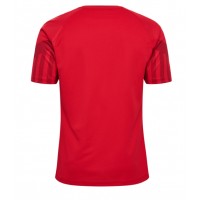 Denmark Replica Home Shirt World Cup 2022 Short Sleeve